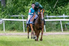 20240615-114833-stromsholm-20240615-ponny-64