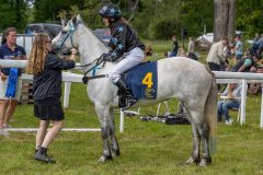 20240615-114919-stromsholm-20240615-ponny-75