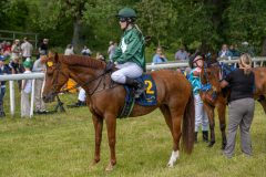 20240615-114924-stromsholm-20240615-ponny-76