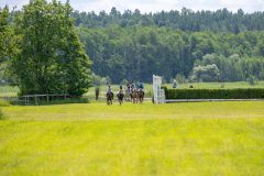 20240615-120455-stromsholm-20240615-ponny-84
