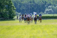20240615-120502-stromsholm-20240615-ponny-85