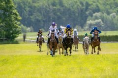 20240615-120505-stromsholm-20240615-ponny-86