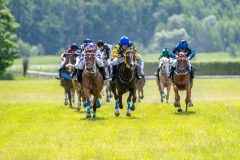20240615-120507-stromsholm-20240615-ponny-87