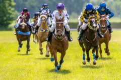 20240615-120509-stromsholm-20240615-ponny-90
