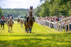 20240615-120511-stromsholm-20240615-ponny-93