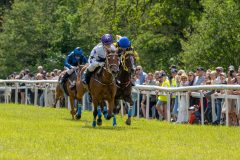 20240615-120511-stromsholm-20240615-ponny-94