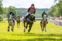 20240615-120513-stromsholm-20240615-ponny-100