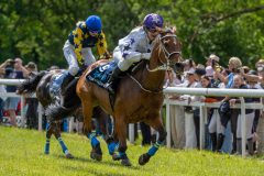 20240615-120513-stromsholm-20240615-ponny-101
