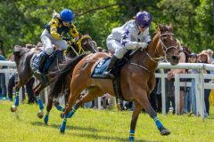 20240615-120513-stromsholm-20240615-ponny-102