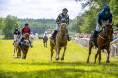 20240615-120513-stromsholm-20240615-ponny-98