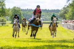 20240615-120513-stromsholm-20240615-ponny-99