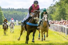20240615-120514-stromsholm-20240615-ponny-103