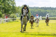 20240615-120514-stromsholm-20240615-ponny-104