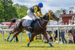 20240615-120514-stromsholm-20240615-ponny-107