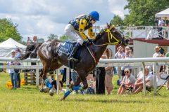 20240615-120514-stromsholm-20240615-ponny-108