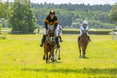 20240615-120515-stromsholm-20240615-ponny-110