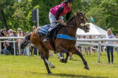 20240615-120515-stromsholm-20240615-ponny-111