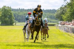 20240615-120516-stromsholm-20240615-ponny-113