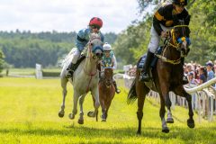 20240615-120517-stromsholm-20240615-ponny-115