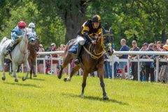 20240615-120517-stromsholm-20240615-ponny-118