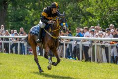 20240615-120517-stromsholm-20240615-ponny-119