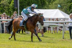 20240615-120519-stromsholm-20240615-ponny-125