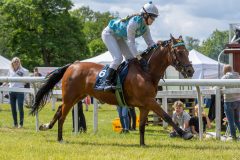 20240615-120519-stromsholm-20240615-ponny-127