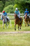 20240615-120633-stromsholm-20240615-ponny-133