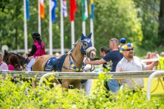 20240615-120656-stromsholm-20240615-ponny-138