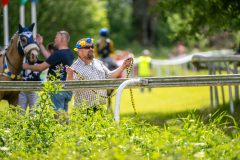 20240615-120657-stromsholm-20240615-ponny-139