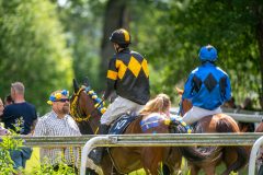 20240615-120701-stromsholm-20240615-ponny-140