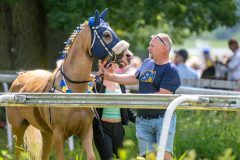 20240615-120722-stromsholm-20240615-ponny-143