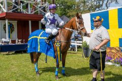 20240615-120849-stromsholm-20240615-ponny-150