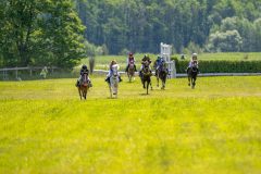 20240615-122236-stromsholm-20240615-ponny-151