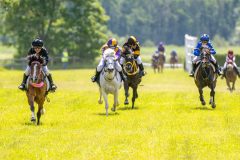 20240615-122242-stromsholm-20240615-ponny-153