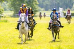 20240615-122245-stromsholm-20240615-ponny-156
