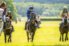 20240615-122246-stromsholm-20240615-ponny-158