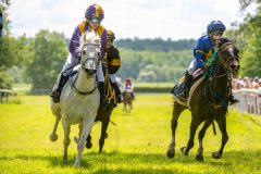 20240615-122247-stromsholm-20240615-ponny-159