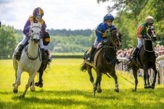 20240615-122247-stromsholm-20240615-ponny-160