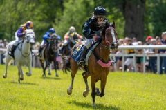 20240615-122247-stromsholm-20240615-ponny-162