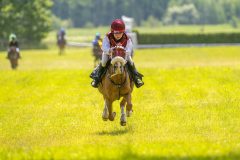 20240615-122250-stromsholm-20240615-ponny-166
