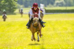 20240615-122250-stromsholm-20240615-ponny-167