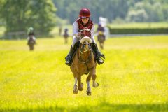 20240615-122251-stromsholm-20240615-ponny-168