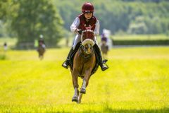 20240615-122251-stromsholm-20240615-ponny-169