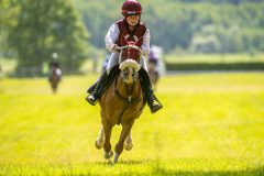 20240615-122251-stromsholm-20240615-ponny-170