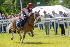 20240615-122253-stromsholm-20240615-ponny-171