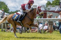 20240615-122254-stromsholm-20240615-ponny-172
