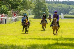 20240615-122300-stromsholm-20240615-ponny-173