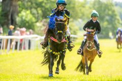 20240615-122302-stromsholm-20240615-ponny-175