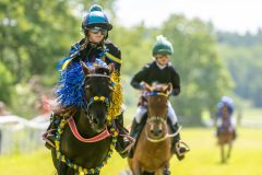 20240615-122302-stromsholm-20240615-ponny-176